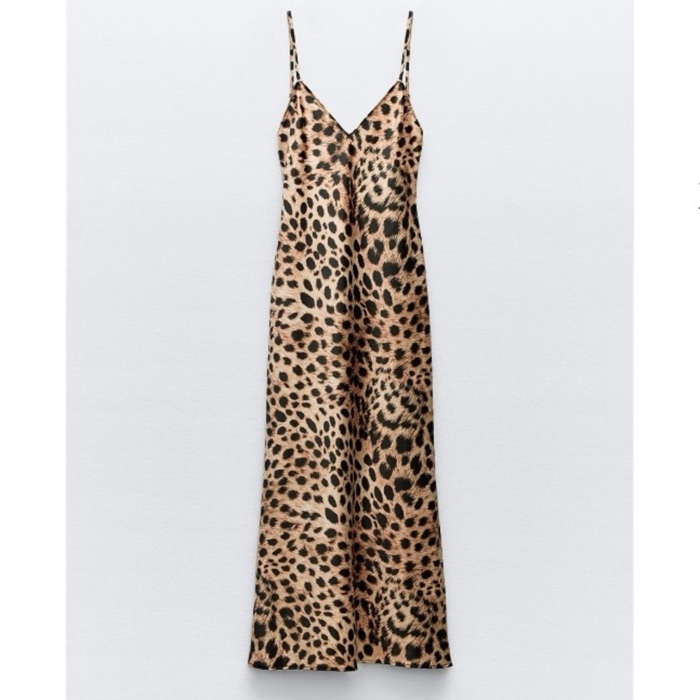 Zara Leopard Print Midi Dress